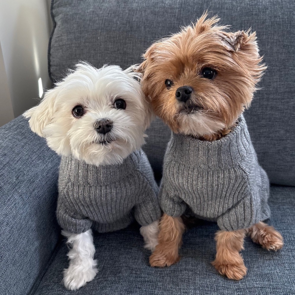 Authentic High Quality Designer Jewelry